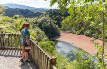7hr Waimangu Geothermal Valley & Lake Rotomahana Tour - Departs Tauranga