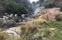 7hr Waimangu Geothermal Valley & Lake Rotomahana Tour - Departs Tauranga