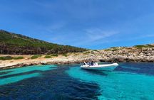 Dinghy excursion to the Egadi Islands with tasting on board