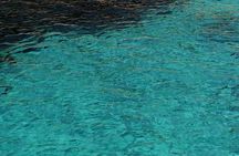 Dinghy excursion to the Egadi Islands with tasting on board