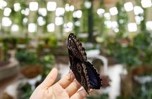 Butterfly Garden Ticket with Shared Transfer
