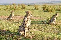 Private 2 Day Diani Beach to Tsavo East Tour