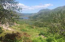 Private Guided Tour of Ireland 