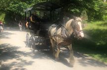 Private Guided Tour of Ireland 