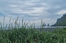 Full-Day Private South Coast Tour from Reykjavik port