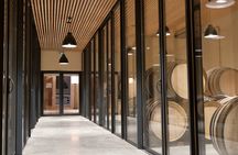 Verres-Tigineux workshop and tasting in Saint-Émilion