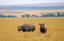 3-Day Private Ngorongoro Crater and Serengeti Park Tour
