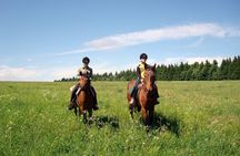Horseback Riding Tour in Bohemian Switzerland