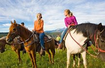 Horseback Riding Tour in Bohemian Switzerland
