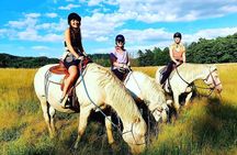 Horseback Riding Tour in Bohemian Switzerland