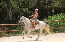 Tulum Jungle Horseback Ride + ATV + Ziplines + Cenote Combo Tour