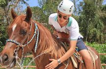Tulum Jungle Horseback Ride + ATV + Ziplines + Cenote Combo Tour