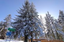 From Krakow: Zakopane & Chocholowskie Thermal Baths