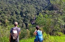 Paraty: Melancia Waterfall - Tekking and Hiking Tour
