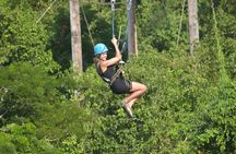 Jamwest Reggae Zipline Tour from Negril