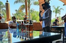 full day Tequila tour visiting artisanal distillery and downtown.