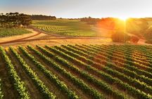 Leeuwin Estate Immersion Experience