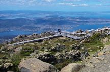kunanyi/Mt Wellington Tour and MONA Admission