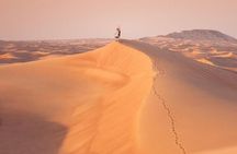 Premium Desert safari With Dune buggy camel ride BBQ dinner