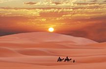 Morning Quad Biking & Red Sand Desert Safari , Camel Ride, Sand Boarding 