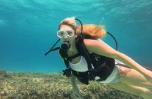 Mallorca: Try Scuba Diving in a Beautiful Nature Reserve