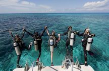 Scuba Diving in Antalya from Antalya & Kemer 