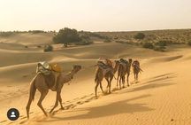 Overnight camel safari (non_touristic)