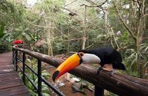 Iguassu Falls Private Tours