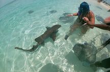 Be Your Own Captain Adventure: Bimini, Nassau, Exuma or Eleuthera