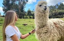 2-Day Tour: Sacred Valley & Machu Picchu – All Tickets Included