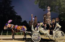 Central Park Moonlight Tour with Photo (45 min) ~ Skip the line