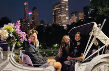 Central Park Moonlight Tour with Photo (45 min) ~ Skip the line