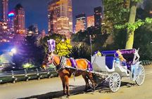 Central Park Moonlight Tour with Photo (45 min) ~ Skip the line