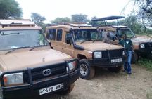 7 Days Tanzania Mid-range lodge safari