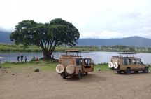 6 Days Tanzania Wildlife Camping Safari