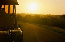 Kruger National Park Guided Day Tour including Hotel Pick-Up and Drop-Off