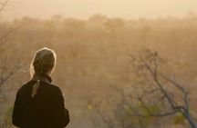 Kruger National Park Guided Day Tour including Hotel Pick-Up and Drop-Off