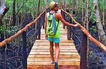 Private Tour to Jozani Forest Reserve Half-Day Guided Tour from Zanzibar