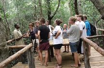 Private Tour to Jozani Forest Reserve Half-Day Guided Tour from Zanzibar