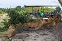 Zambezi National Park AM or PM Game Drive