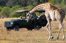 Zambezi National Park AM or PM Game Drive