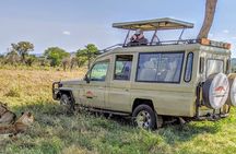 Best of Tanzania 5days 4nights safari
