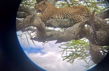 Best of Tanzania 5days 4nights safari