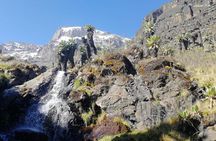 Day Trip to Kilimanjaro National Park