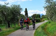 E-Bike Tour and Wine Tasting from Bardolino