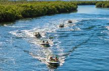 Jungle Tour Adventure Cancun: Jungle Tour Cancun Explore