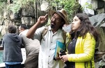 Bird Observation in the National Park of Uruapan.