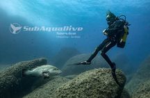 Package of 4 single dives to the Capo Carbonara Marine Protected Area