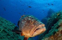Package of 2 double dives in the Capo Carbonara Marine Protected Area