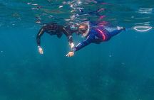 Private Guided Snorkeling in Cabo San Lucas
